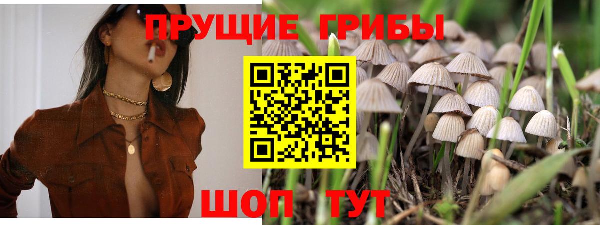 Псилоцибиновые грибы GOLDEN TEACHER  Вход с VPN  Корсаков 
