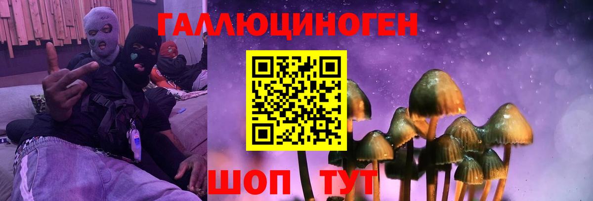 Галлюциногенные грибы Psilocybe Корсаков